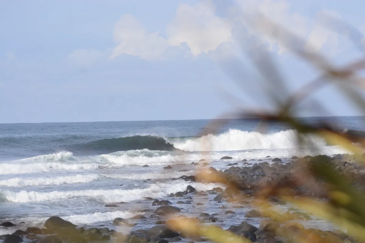 Waves breaking on the coast
